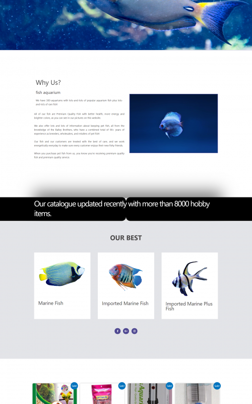 Immense Software Solutions